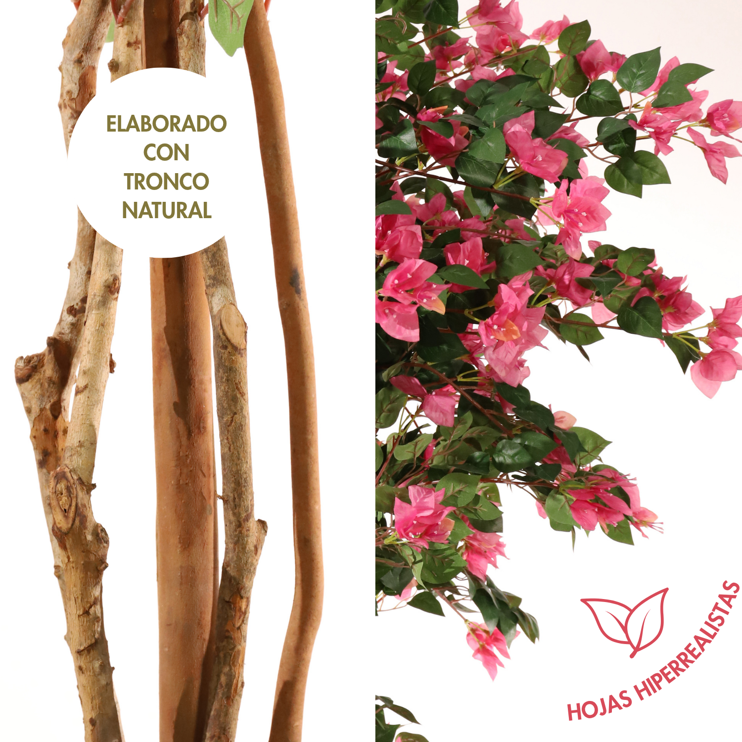 Árbol buganvilla 180 cm