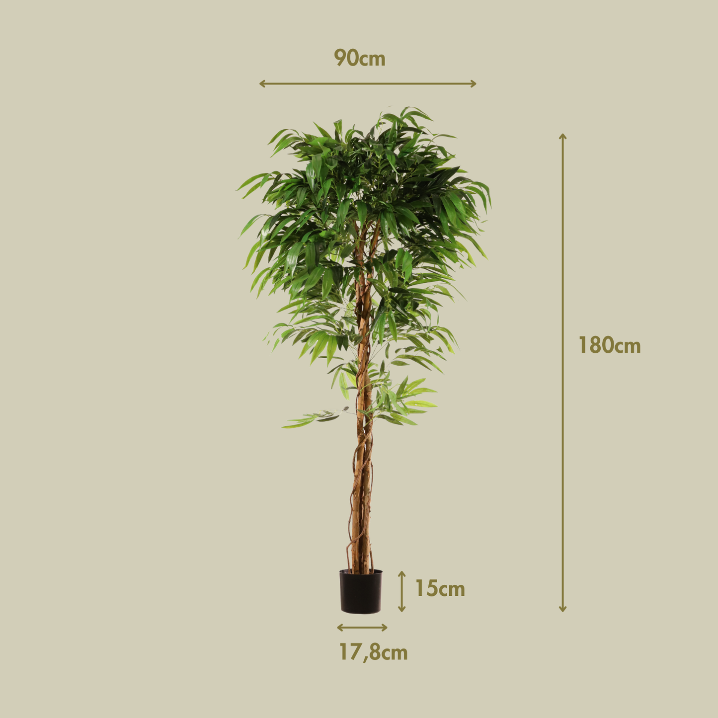 Árbol drácena 183 cm