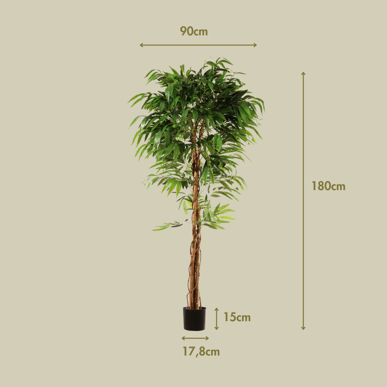 Árbol drácena 183 cm