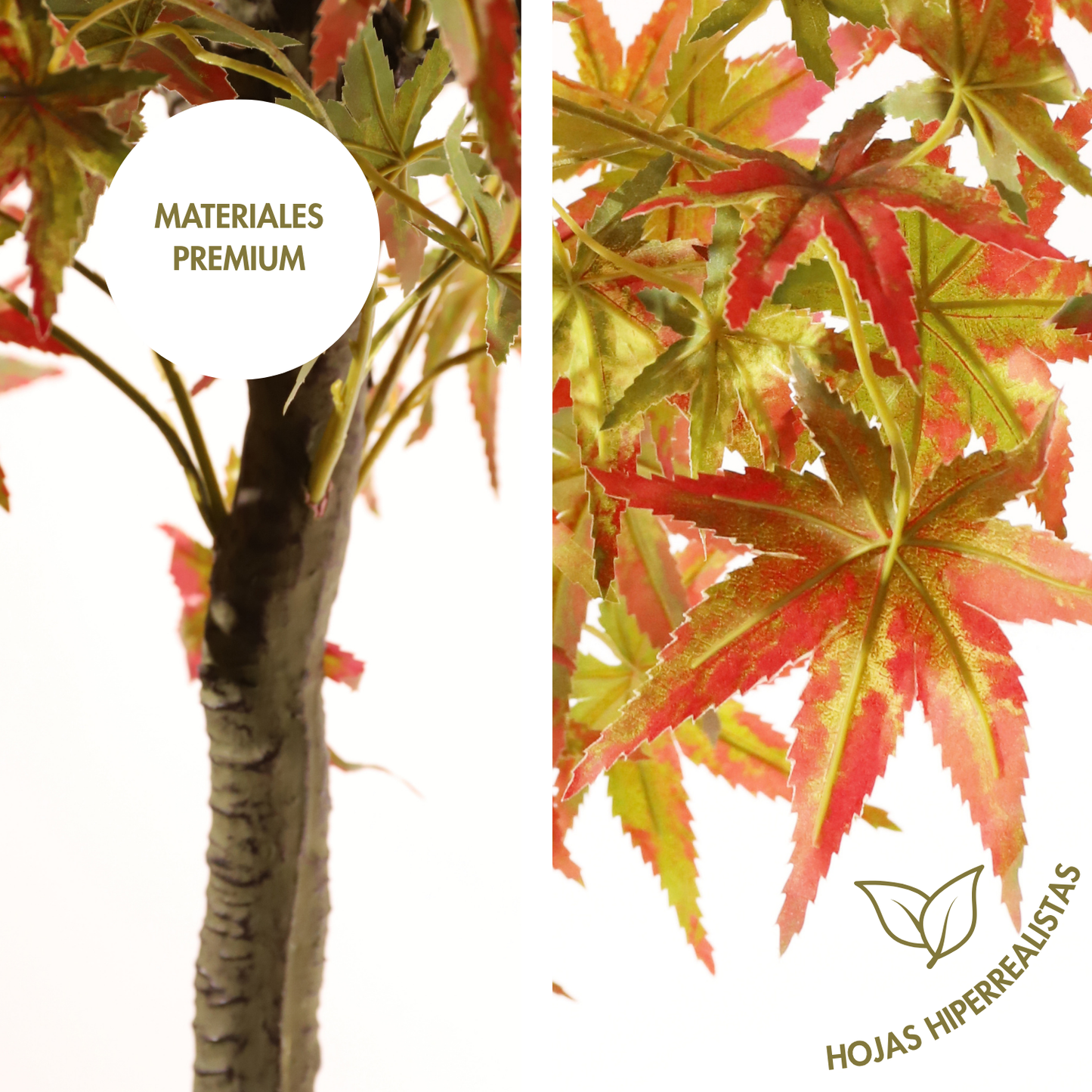 Arce verde 220 cm