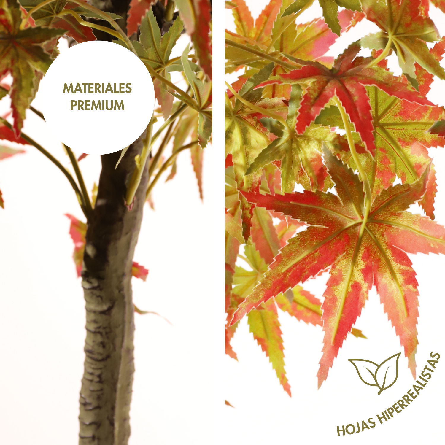 Arce verde 220 cm