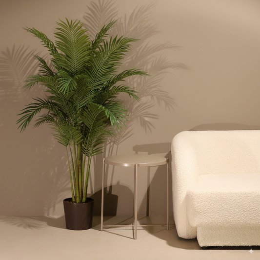 Palmera 150cm