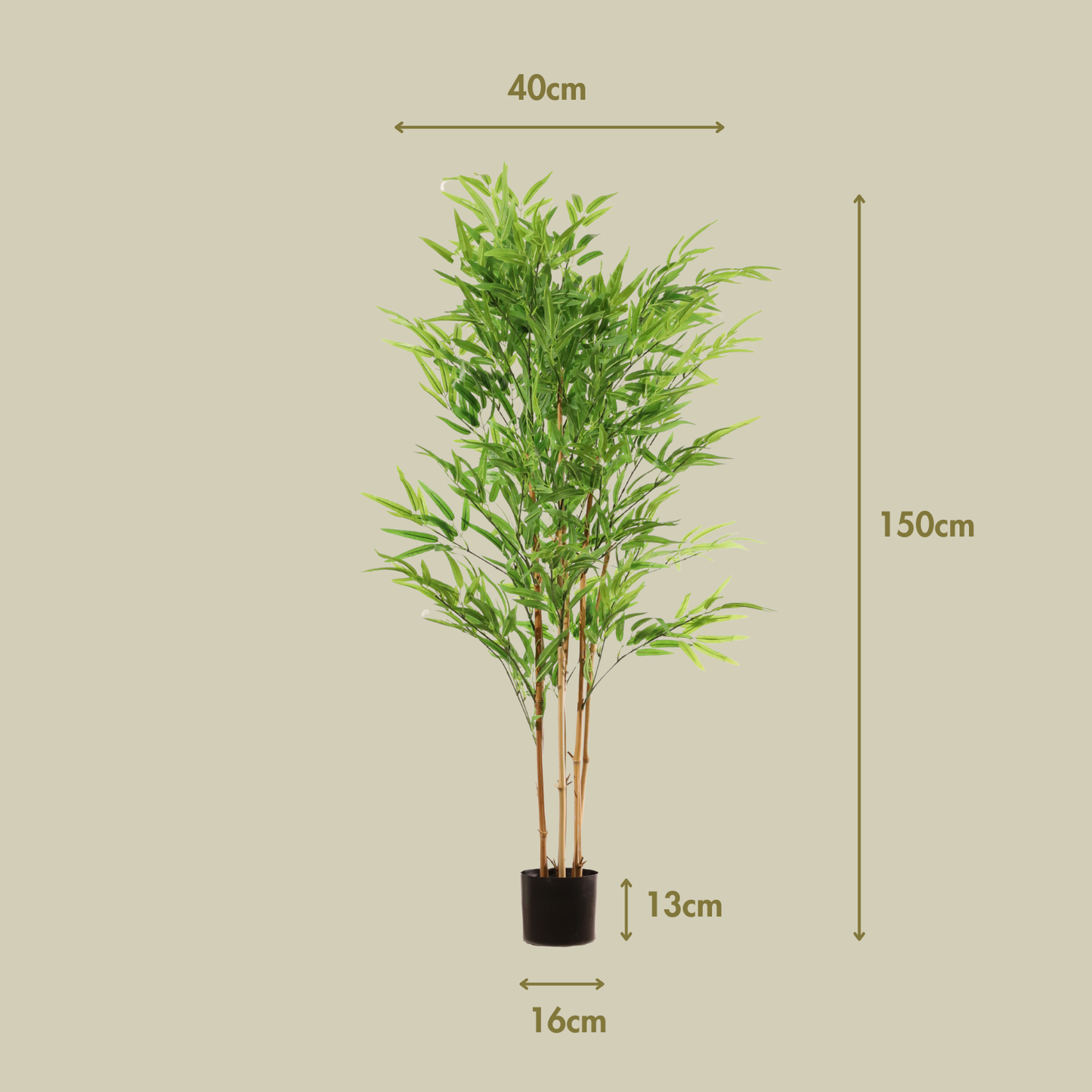 Bambú verde 150 cm