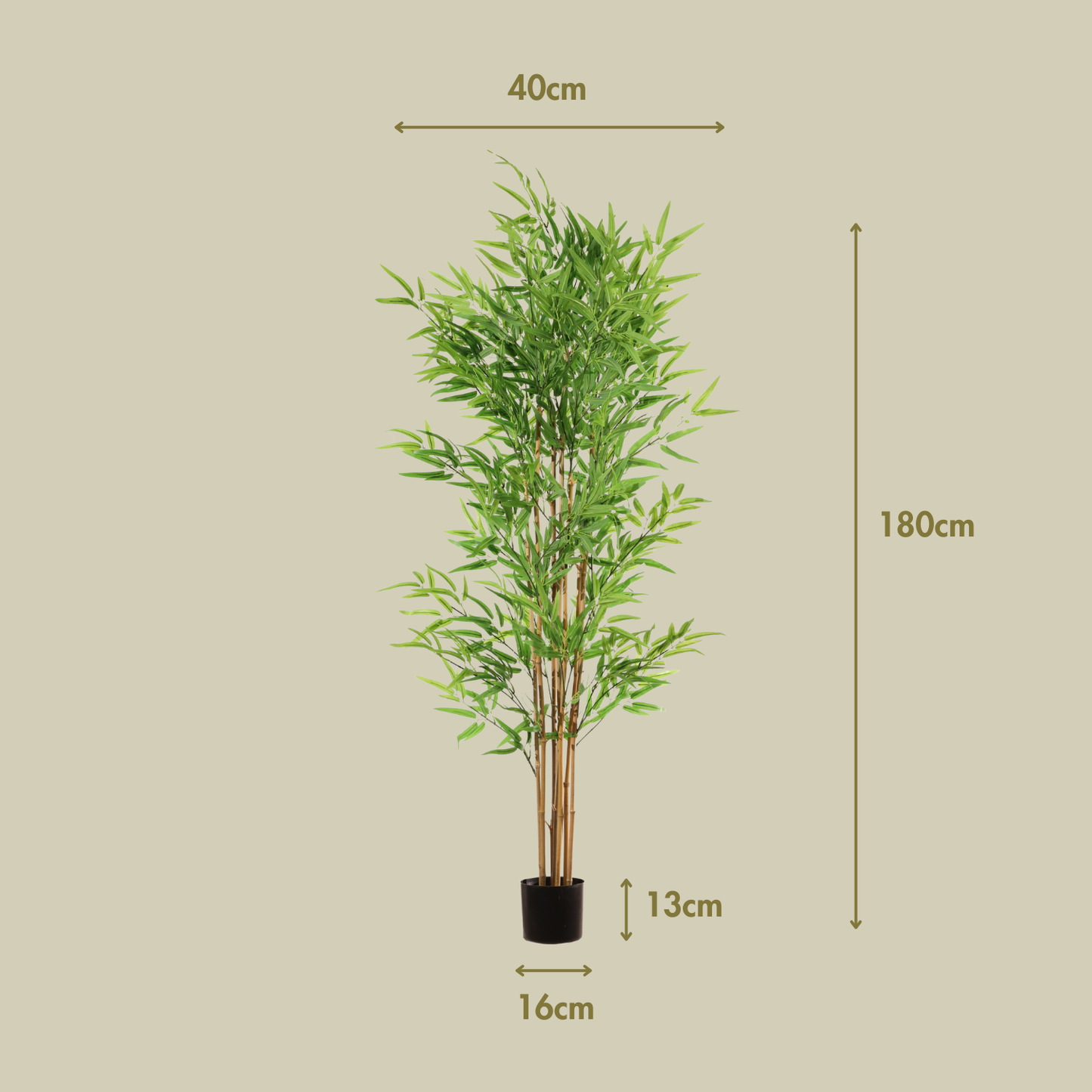 Bambú verde 180 cm