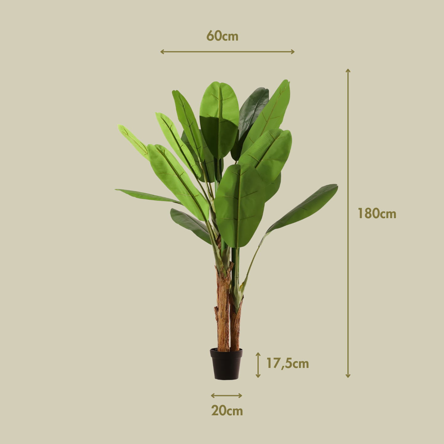 Bananera 180 cm