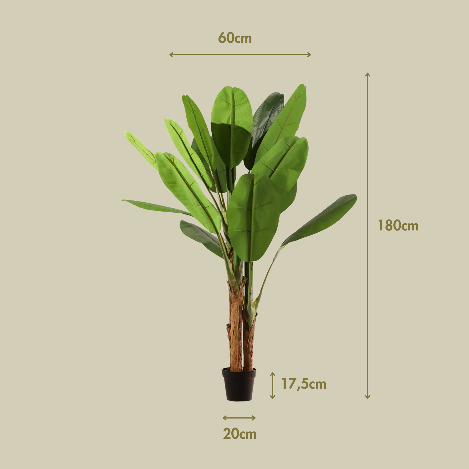 Bananera 180 cm