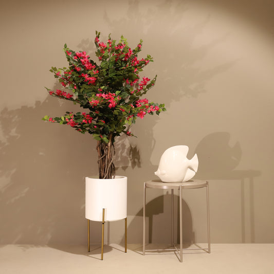 Buganvilla 120 cm