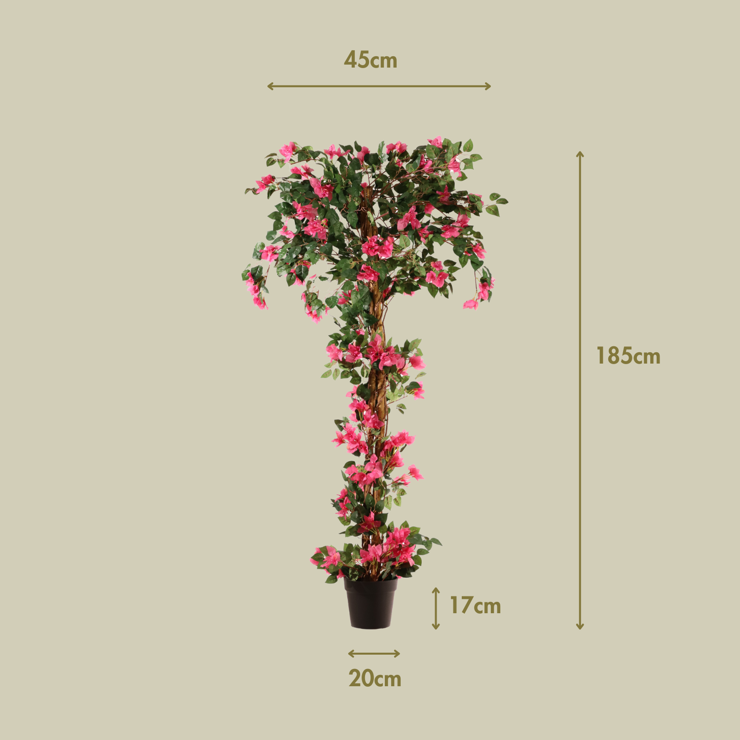 Buganvilla trenzada 185 cm