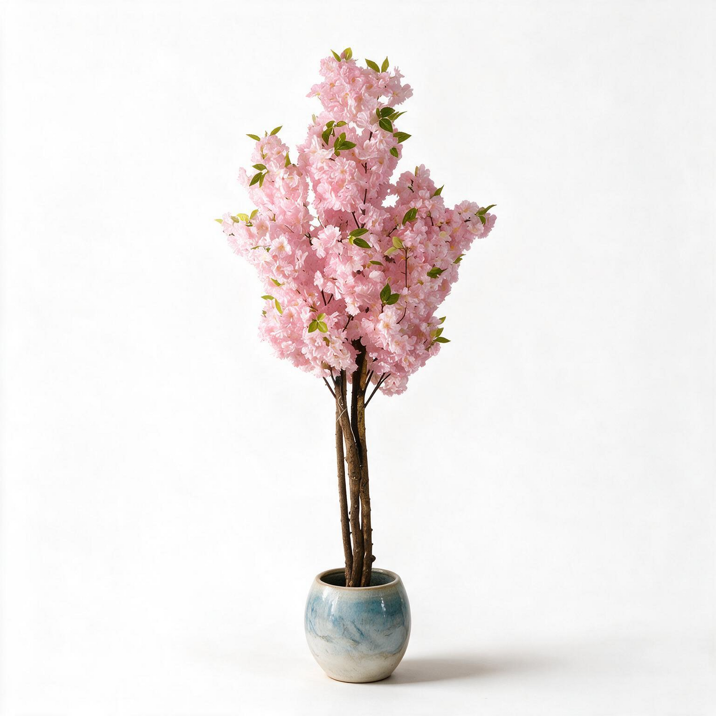 Cerezo 160 cm
