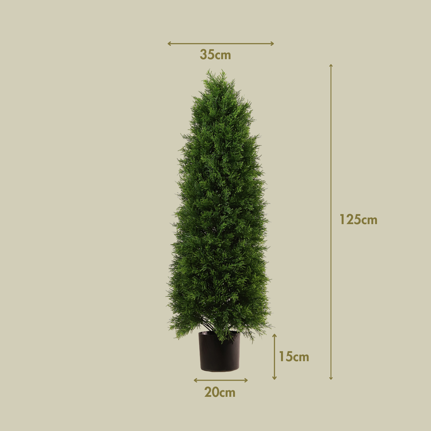Ciprés 125 cm