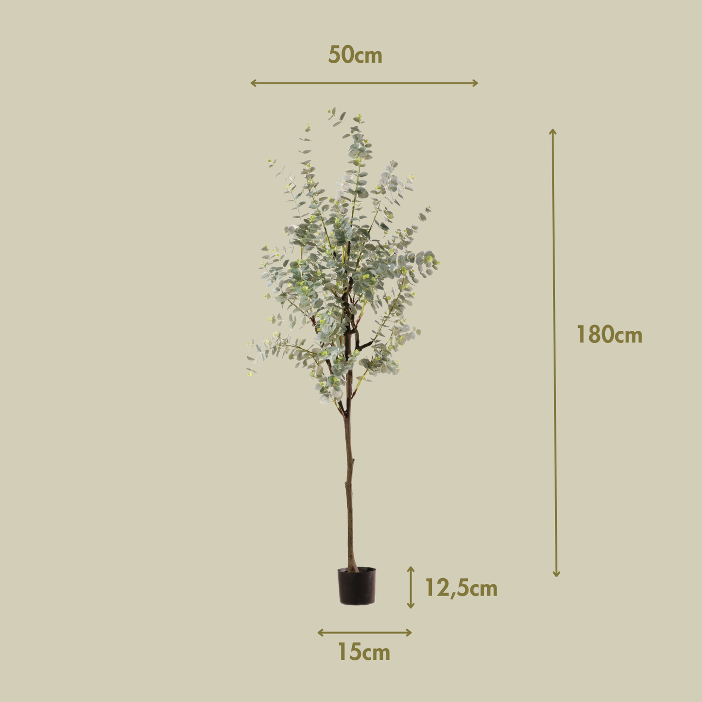 Eucalipto 180 cm