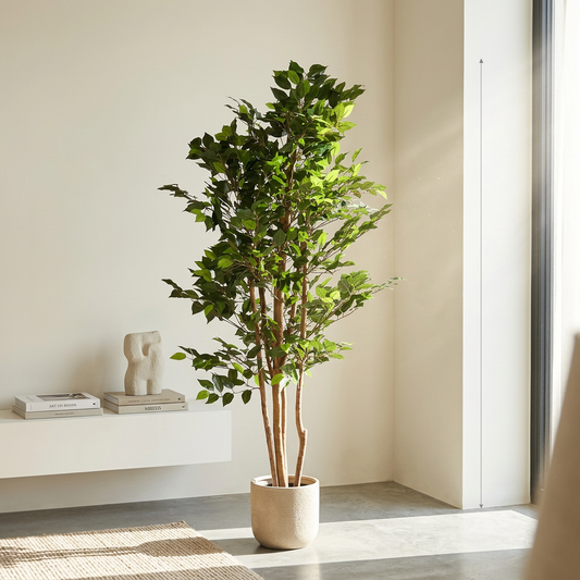 Artificial Ficus 150cm