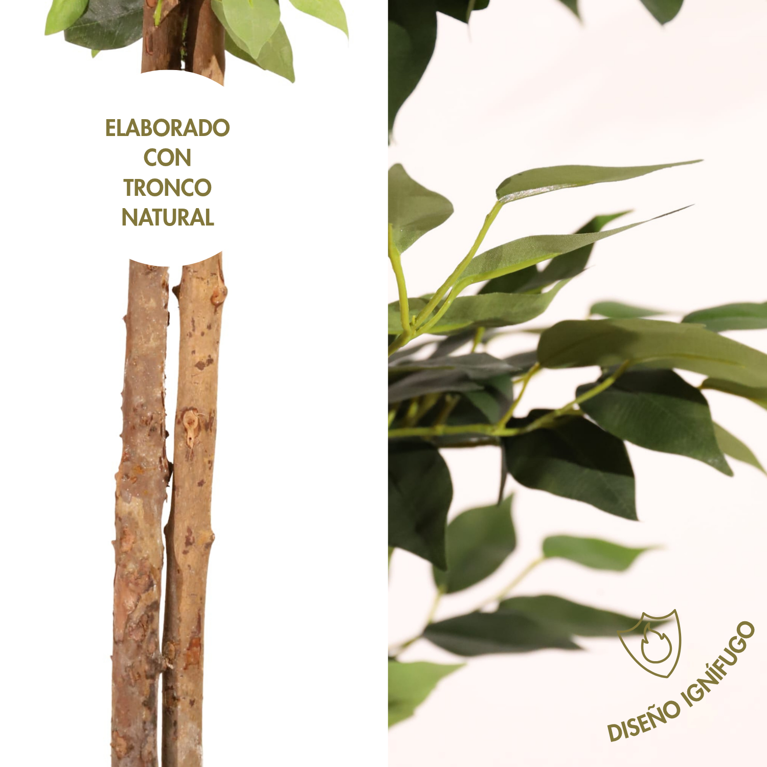 Ficus ignífugo 180 cm