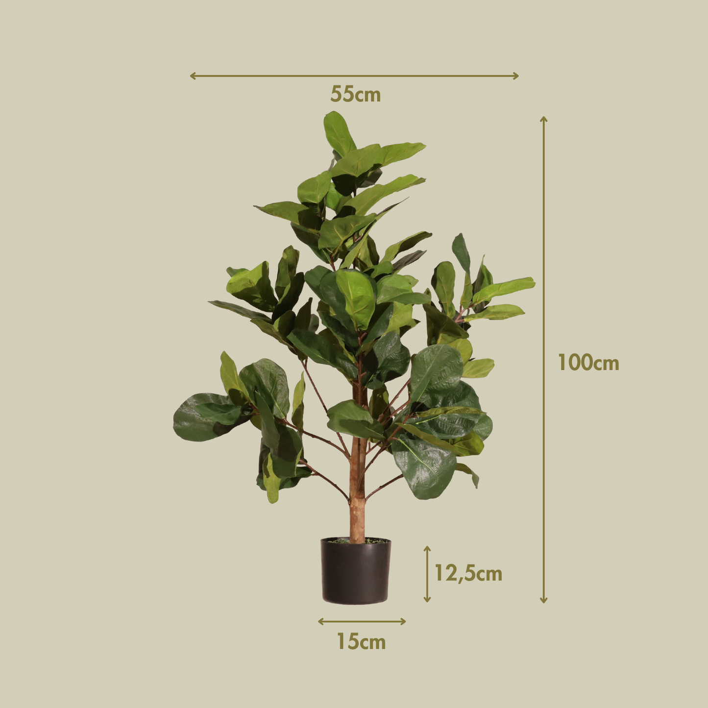 Ficus lyrata 100cm