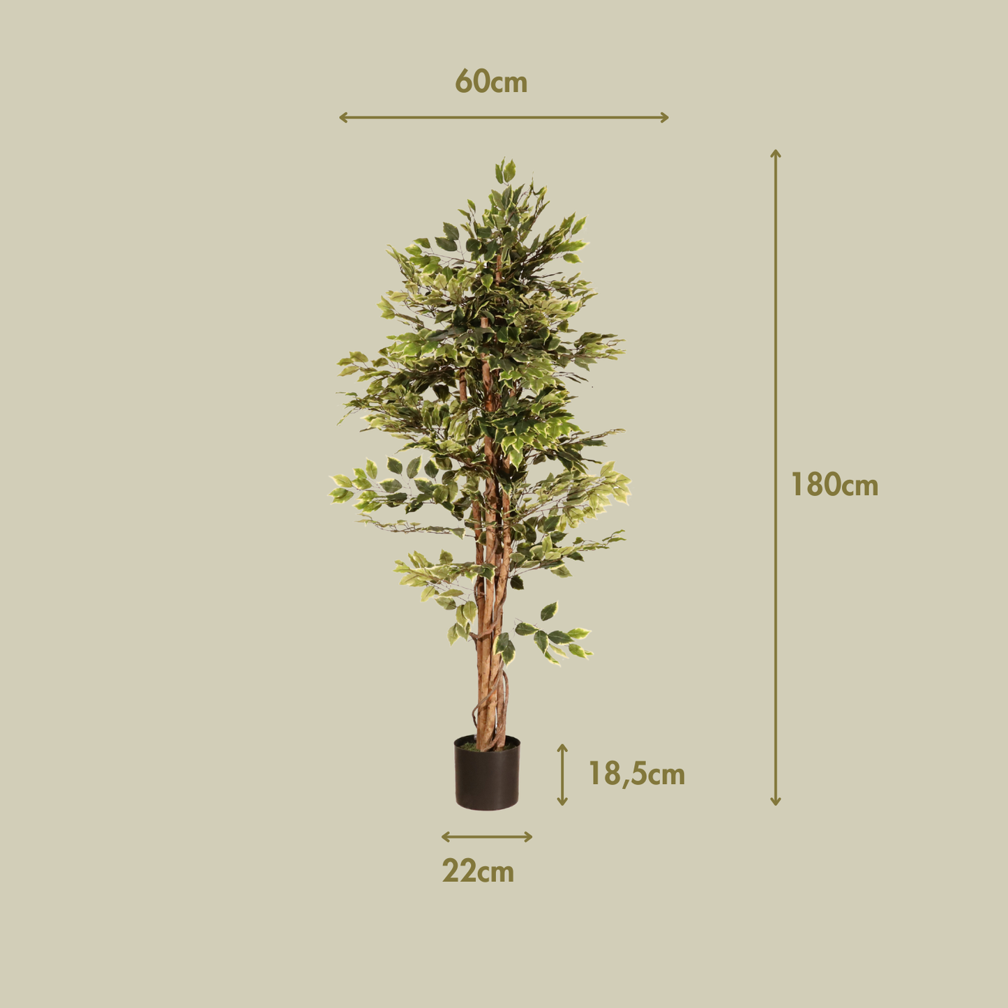 Ficus matizado 180cm