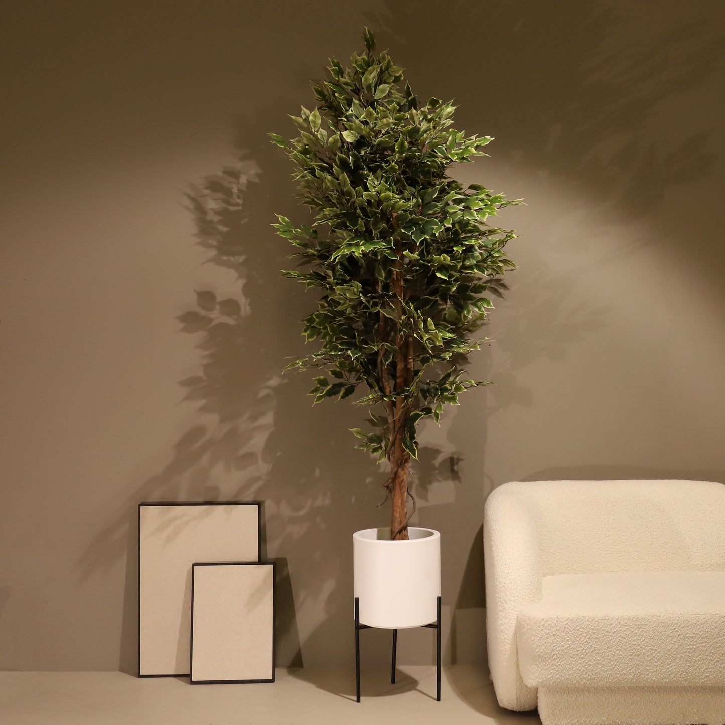 Ficus matizado 180cm