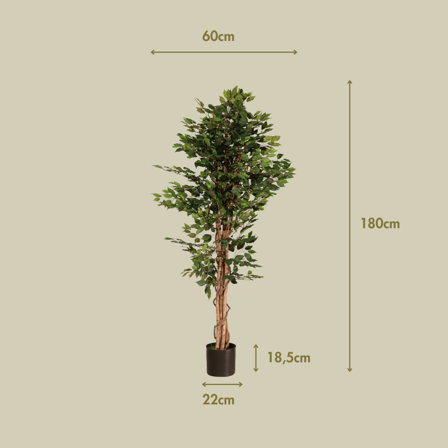 Ficus verde 180 cm