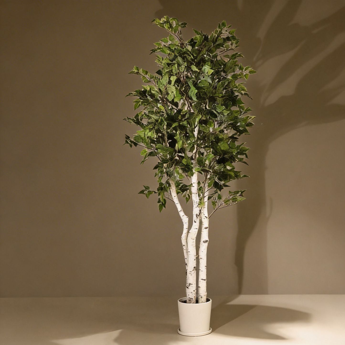 Abedul blanco ignífugo 210 cm