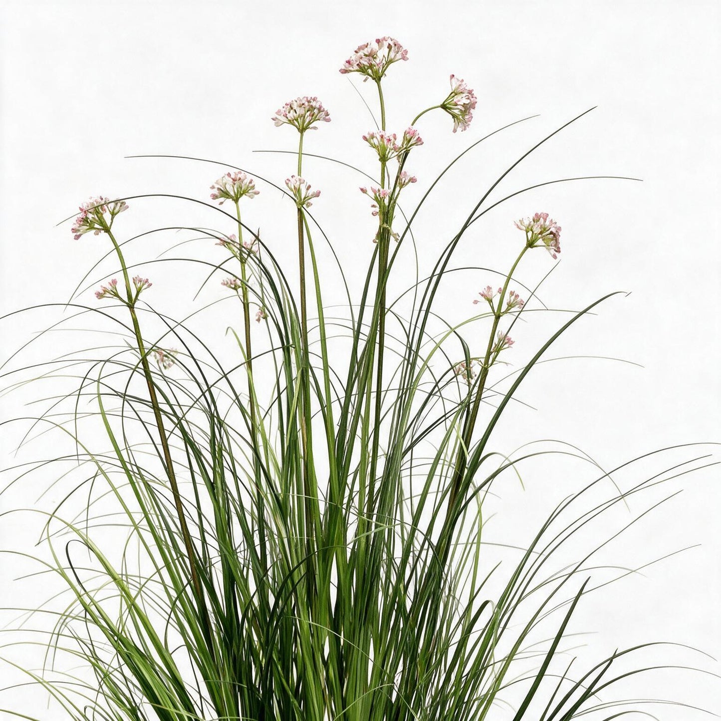 Grass 90cm
