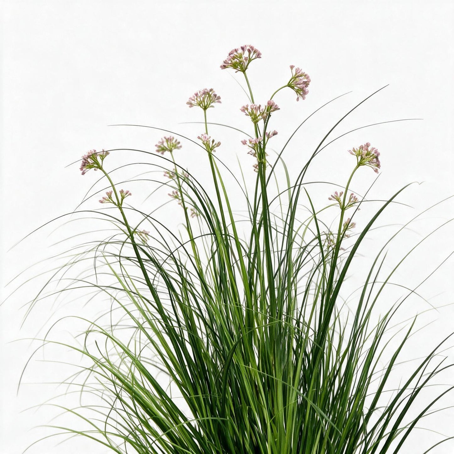 Grass 90cm