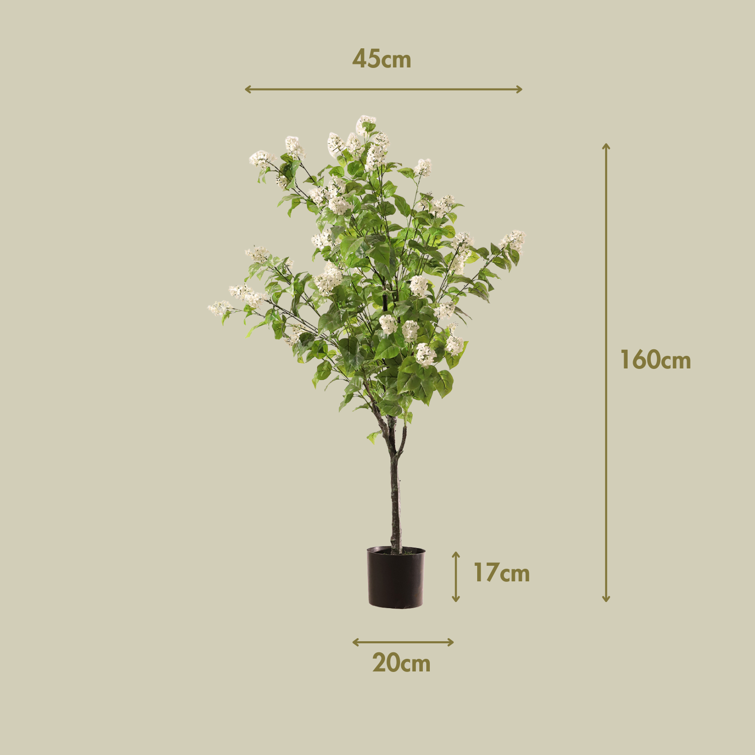 Hortensia paniculata blanca 160 cm