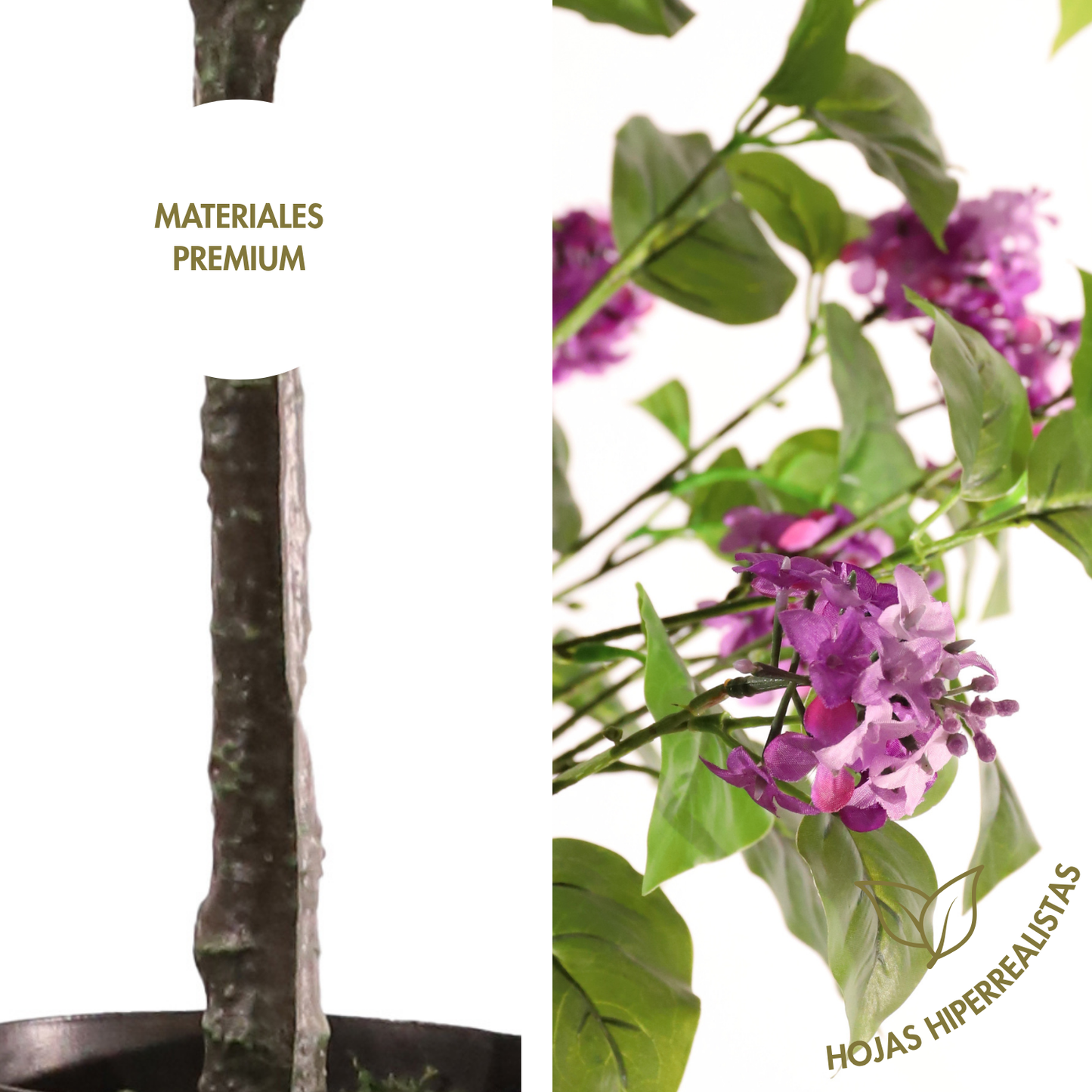 Hortensia paniculata morada 160 cm