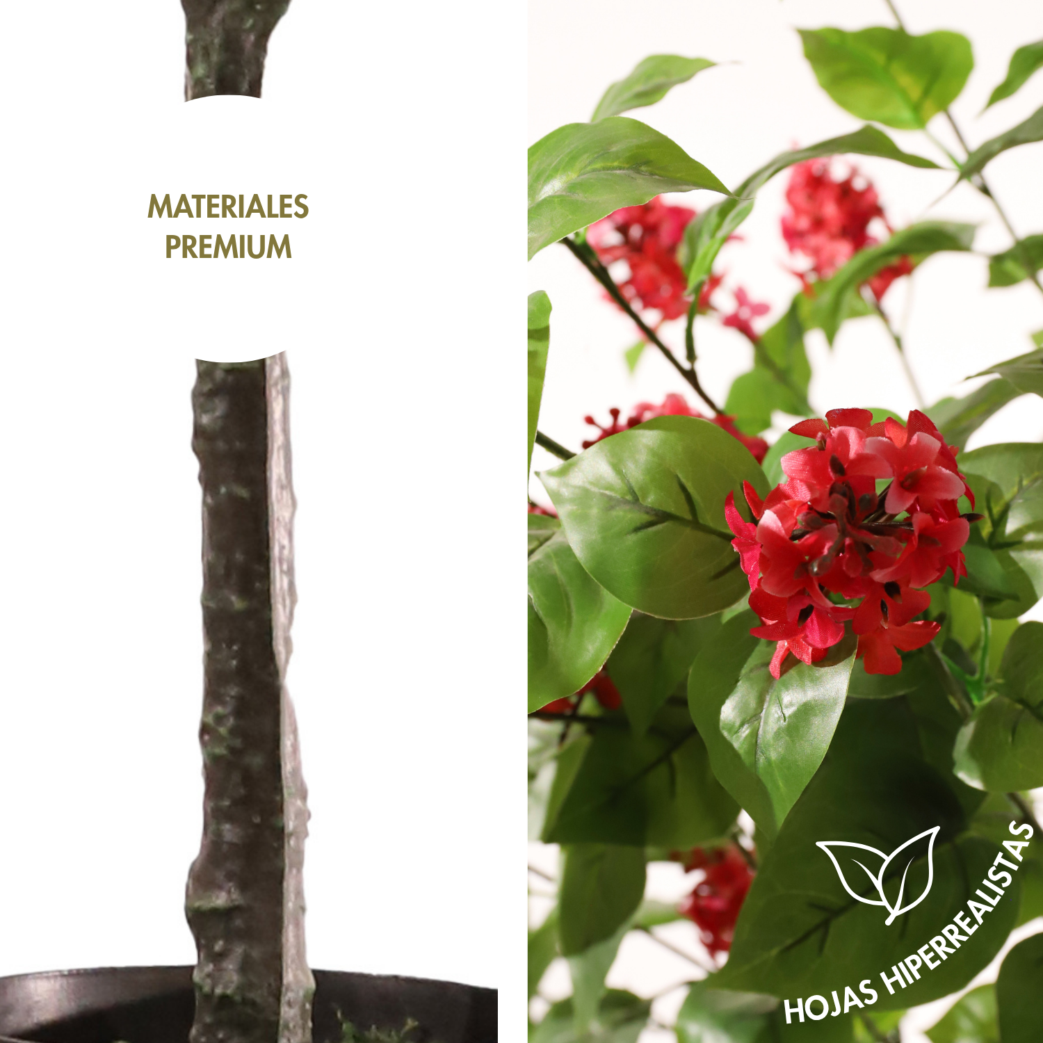 Hortensia paniculata rosa 160 cm