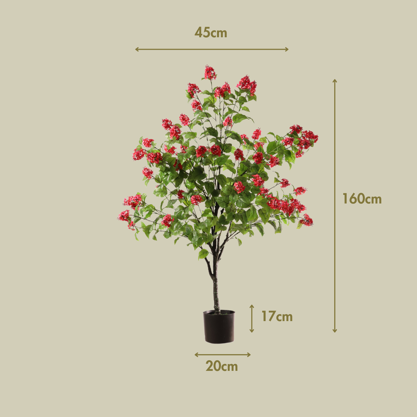 Hortensia paniculata rosa 160 cm