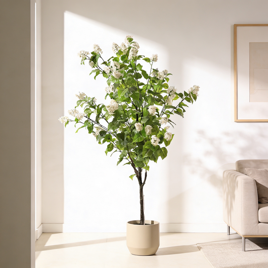 Hortensia paniculata blanca 160 cm