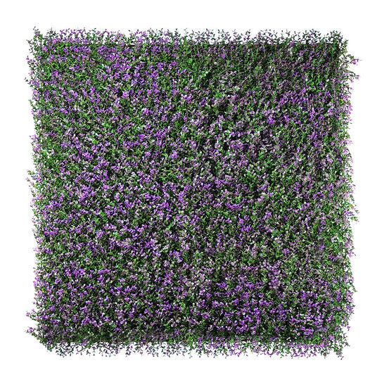 Lavanda