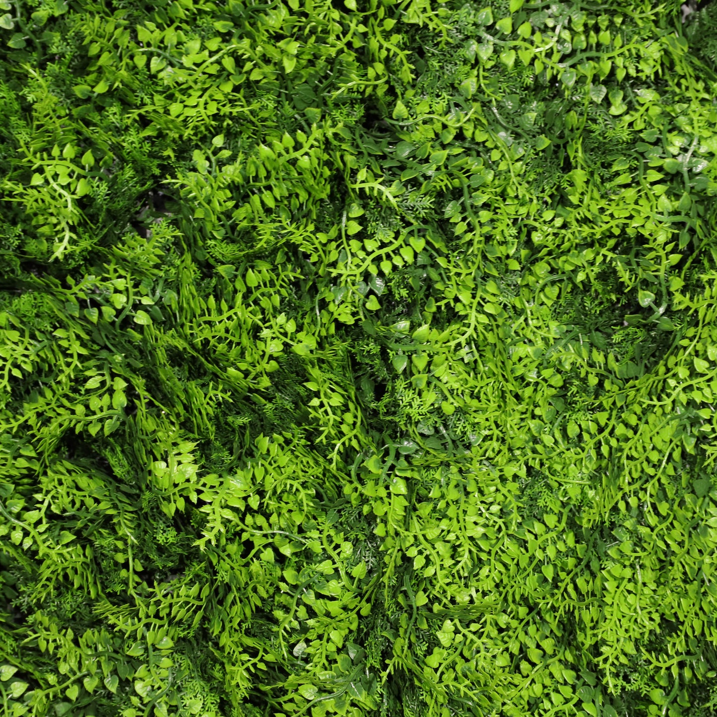 Helecho deluxe ignífugo