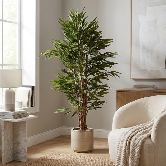 Longifolia 180 cm