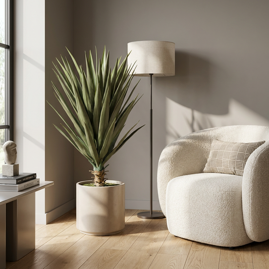 Yuca 80cm
