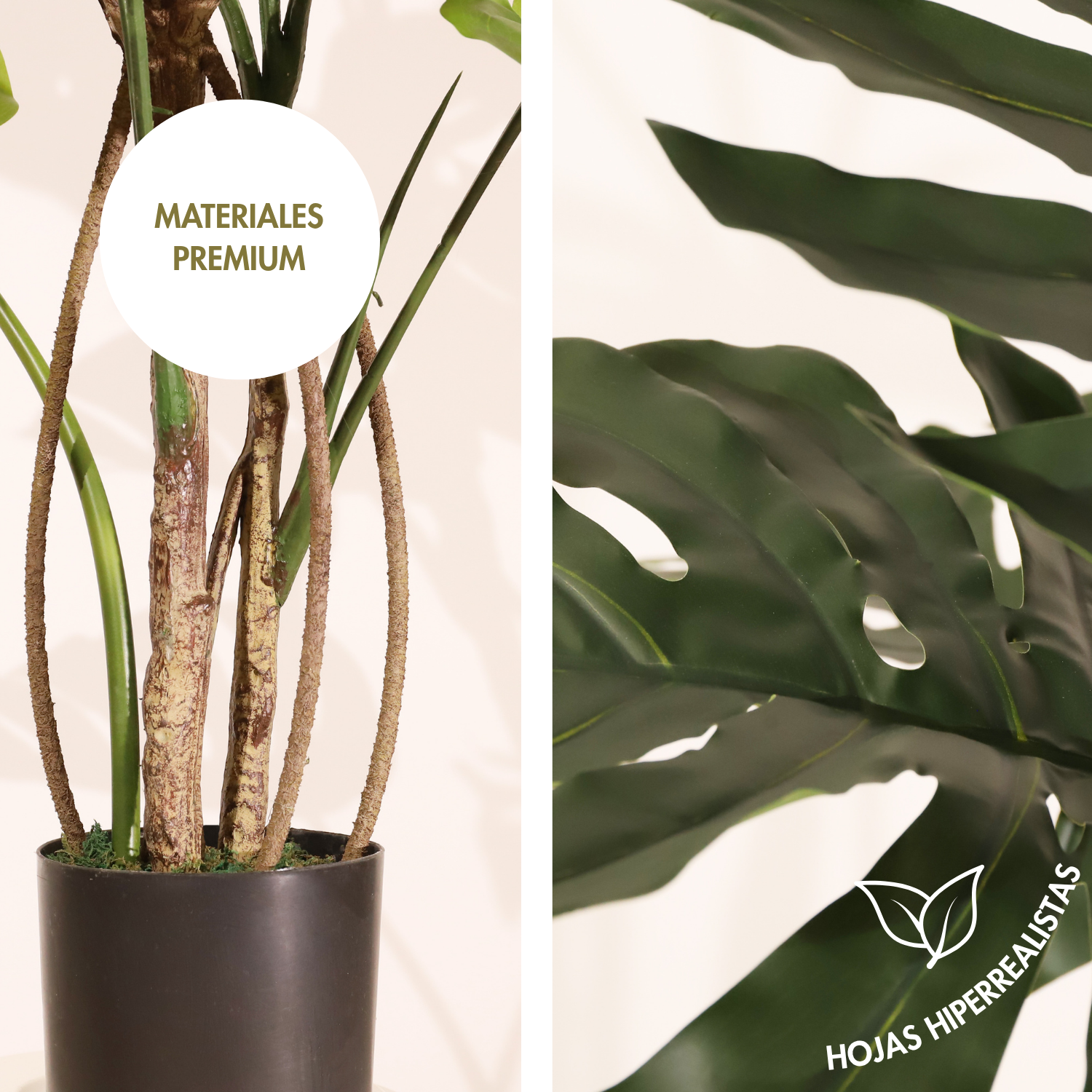 Monstera 120cm