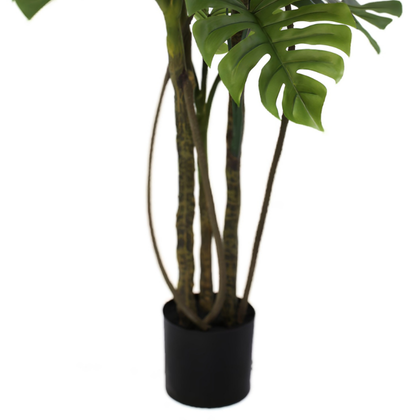 Monstera 160cm