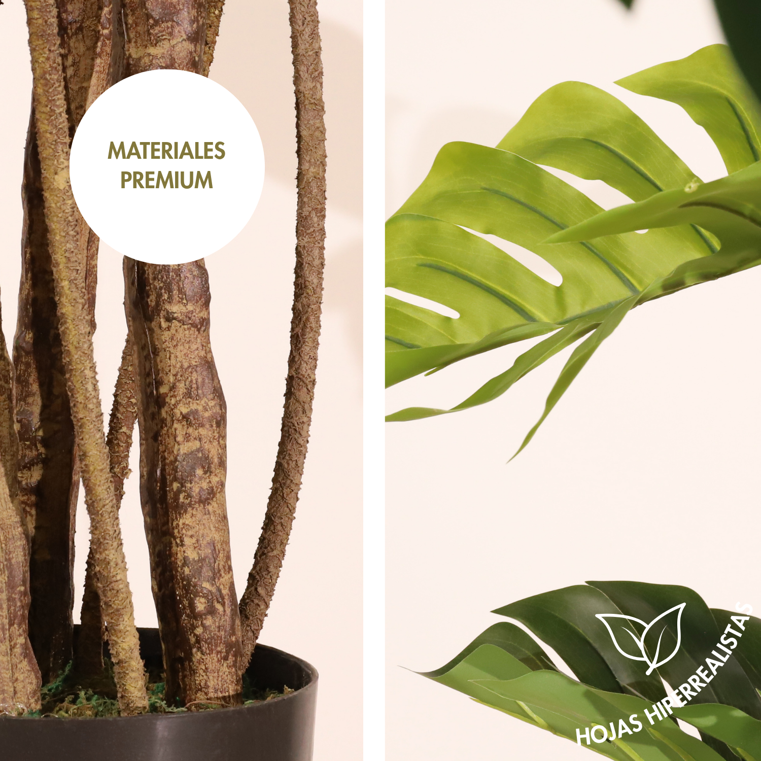 Monstera 160cm