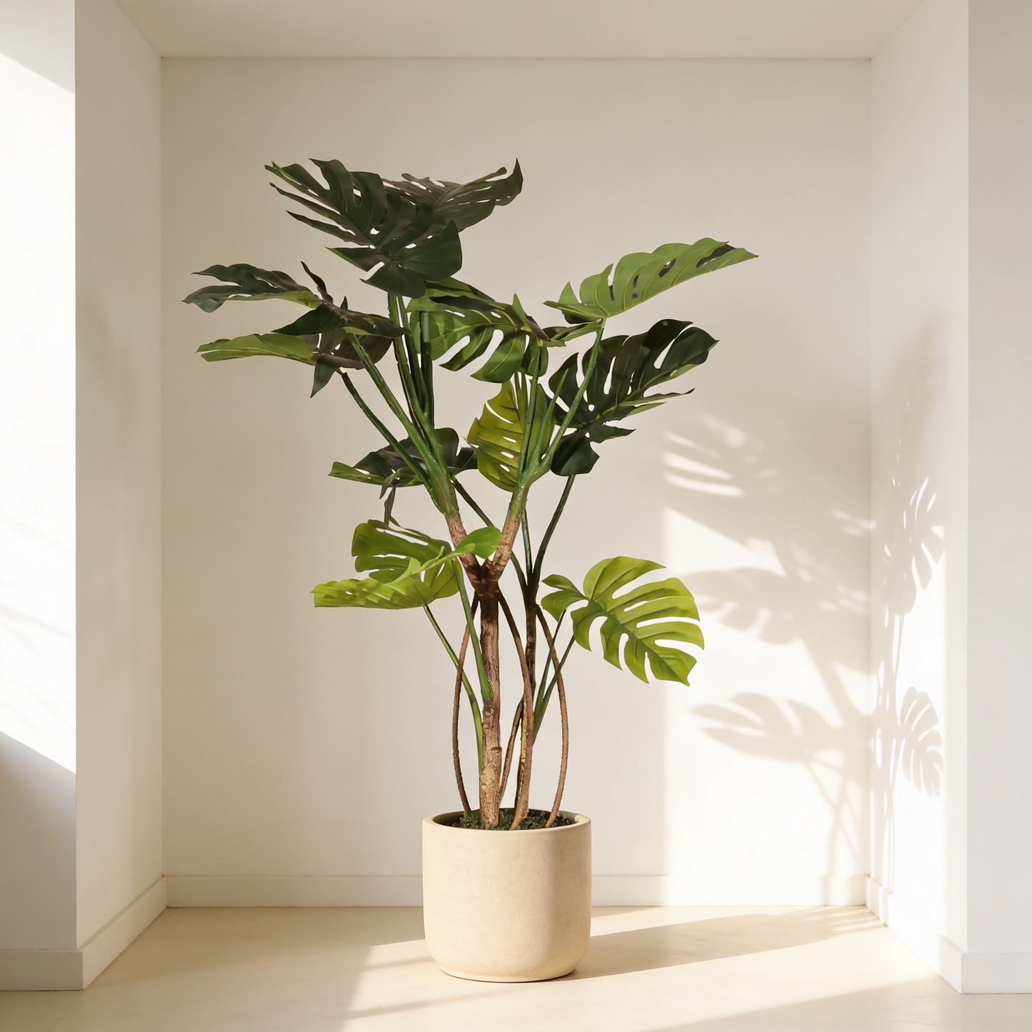 Monstera 120cm