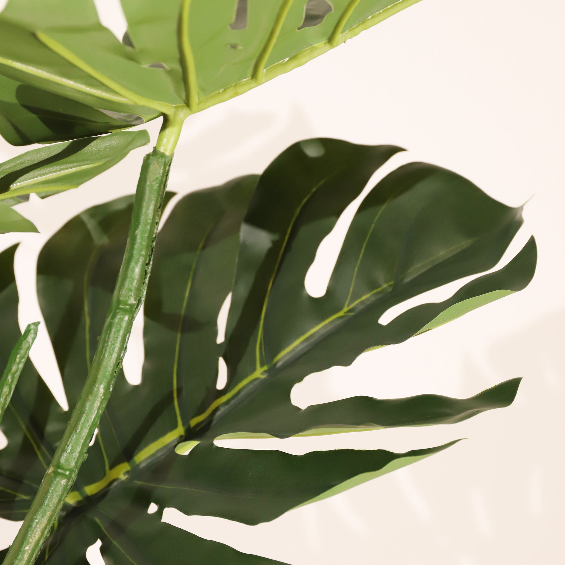 Monstera 120cm