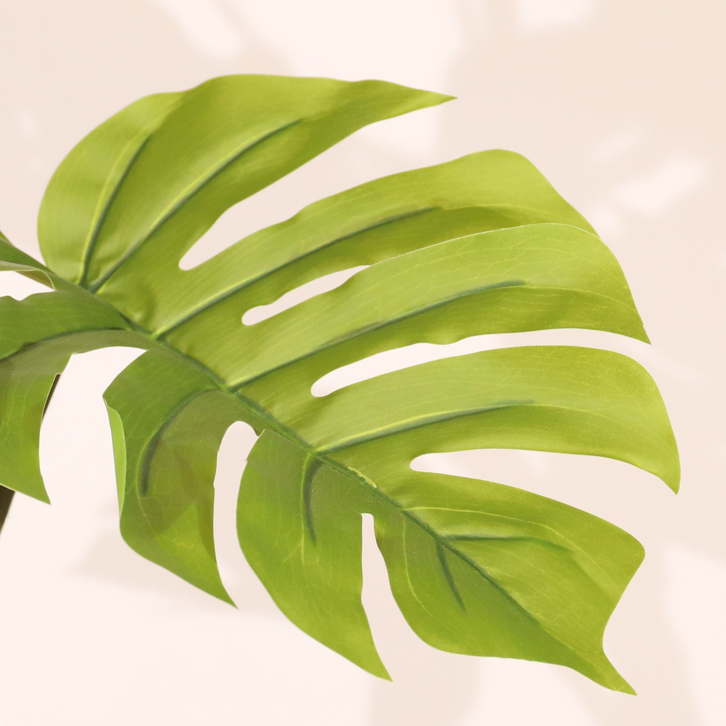 Monstera 120cm