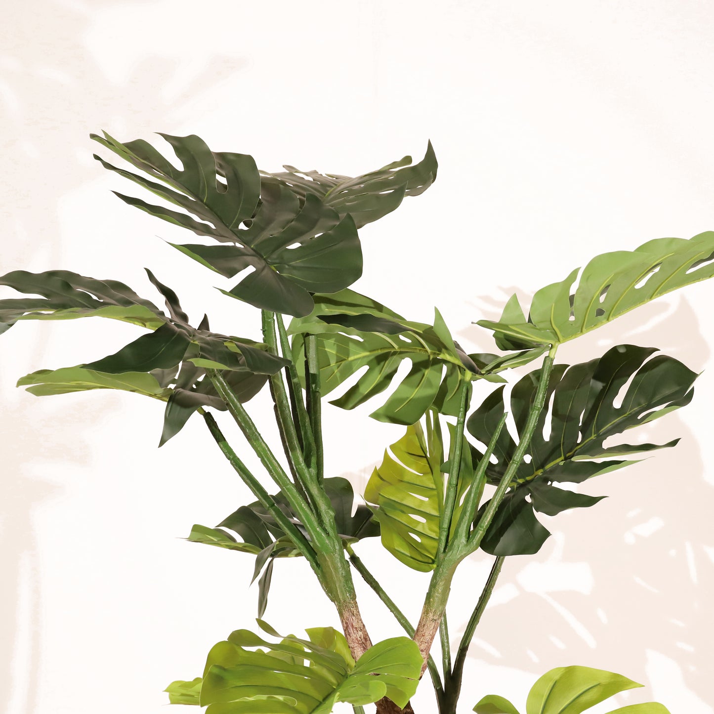 Monstera 120cm