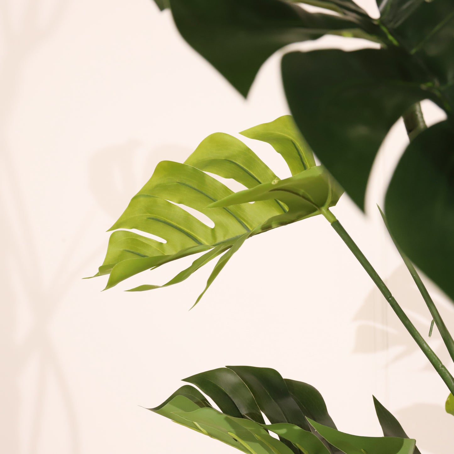 Monstera 160cm