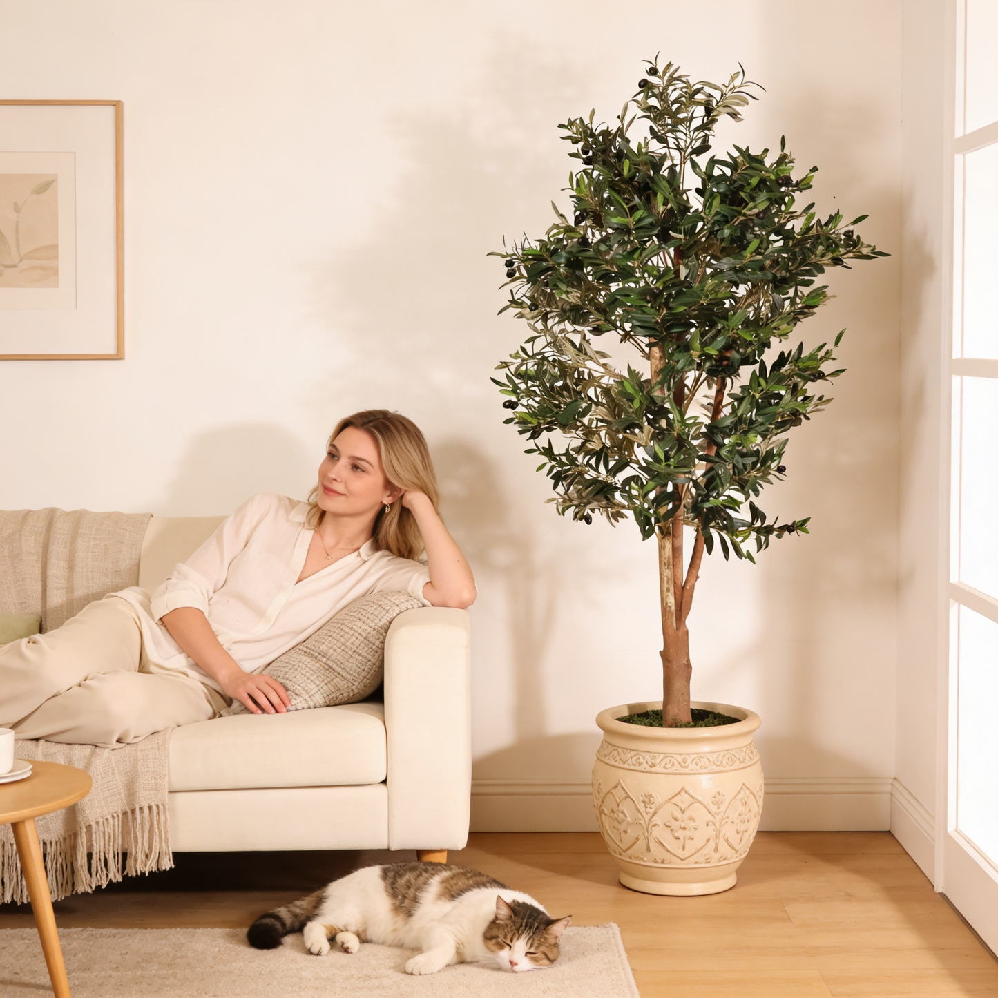 Olivo Mediterráneo 150cm