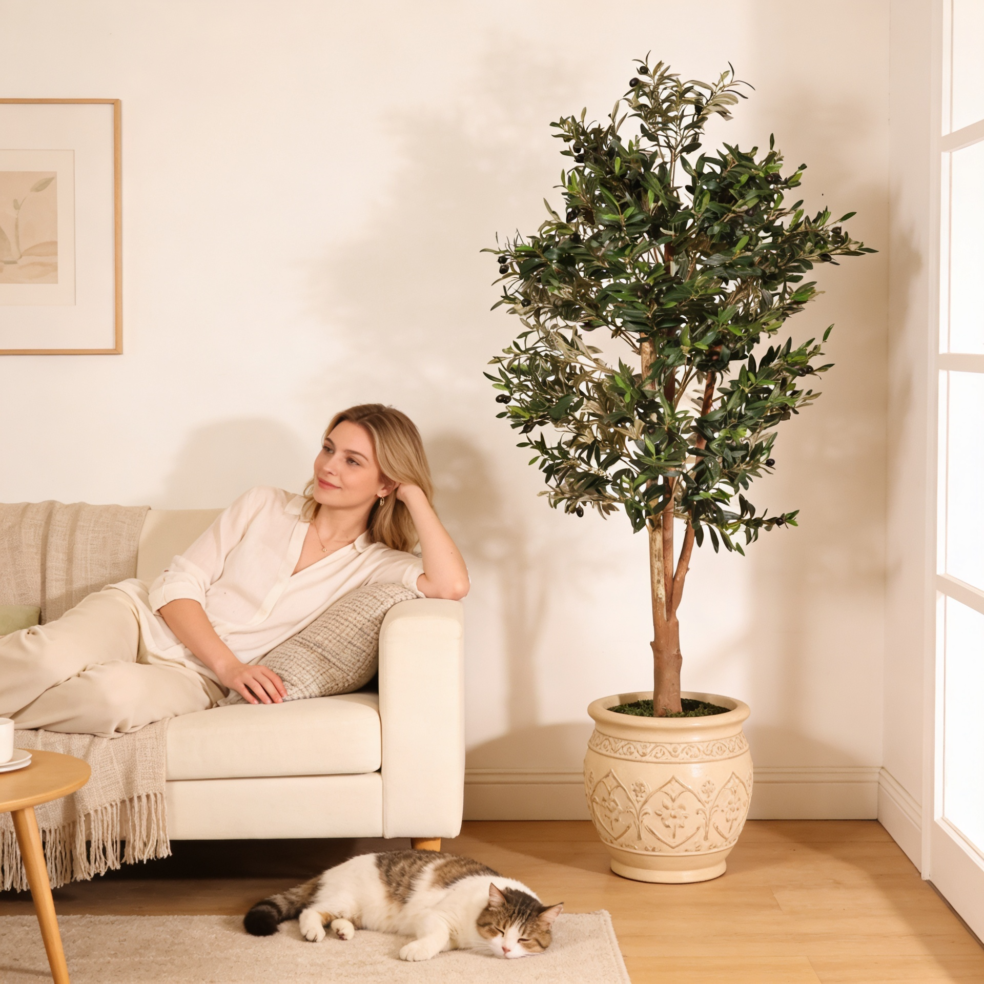 Olivo Mediterráneo 150cm