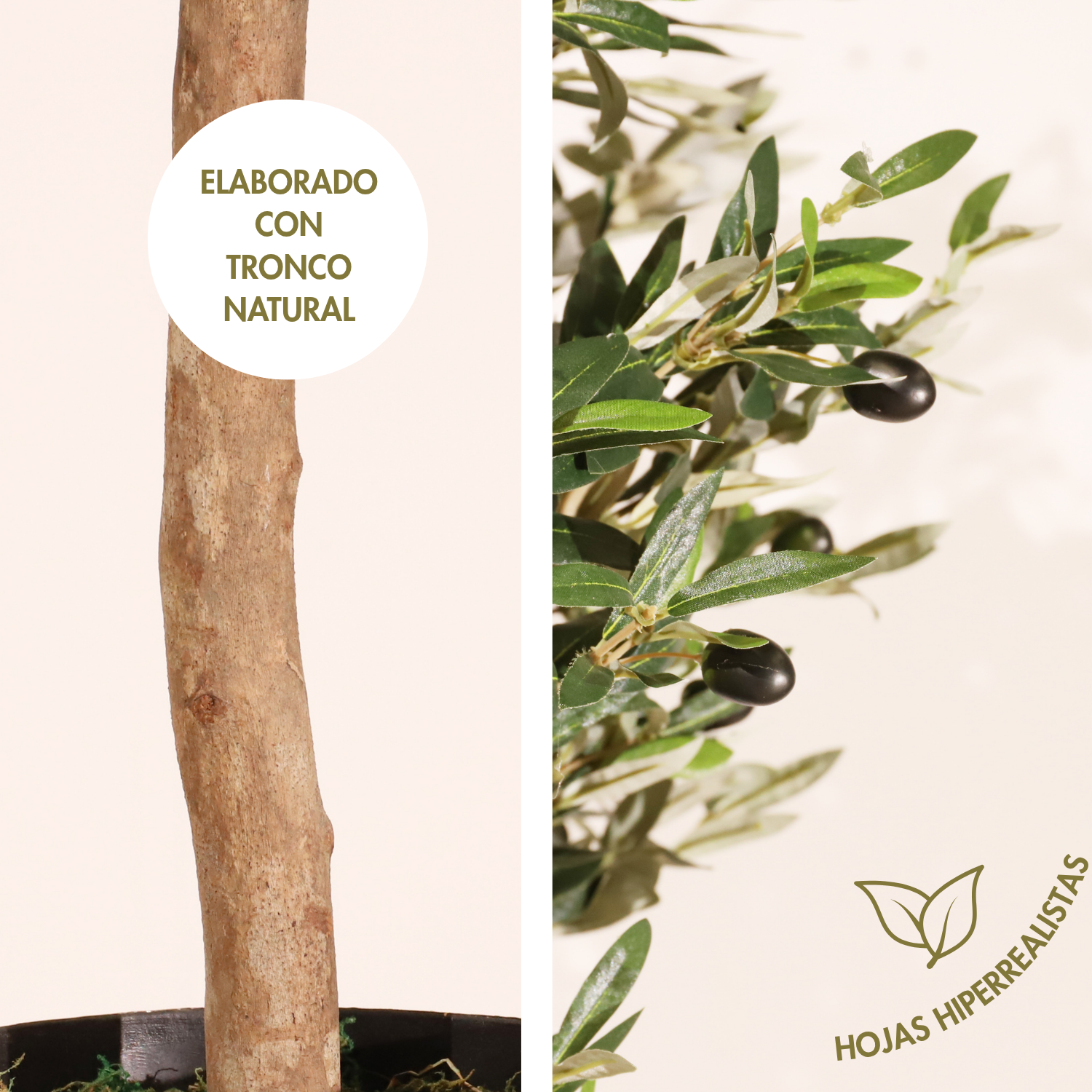 Olivo Aura 90 cm