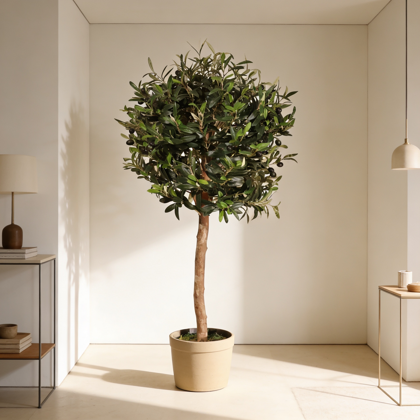 Olivo Aura 90 cm