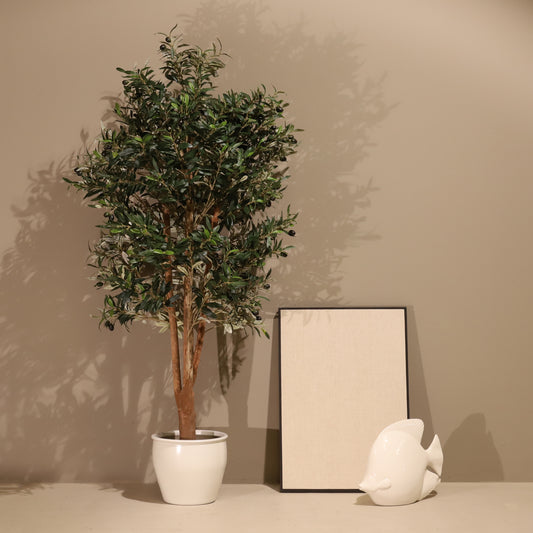 Olivo Mediterráneo 150cm
