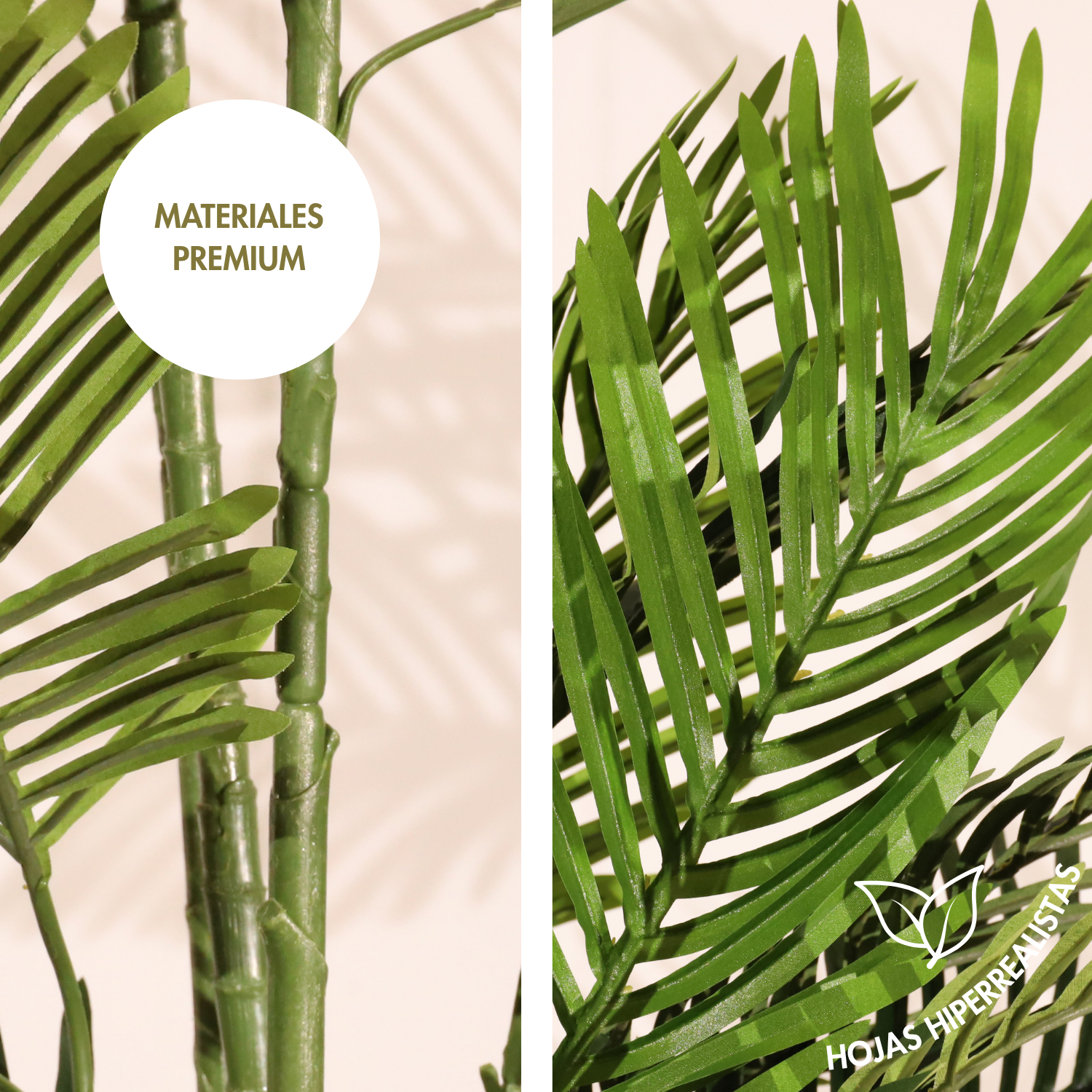 Palmera 150cm