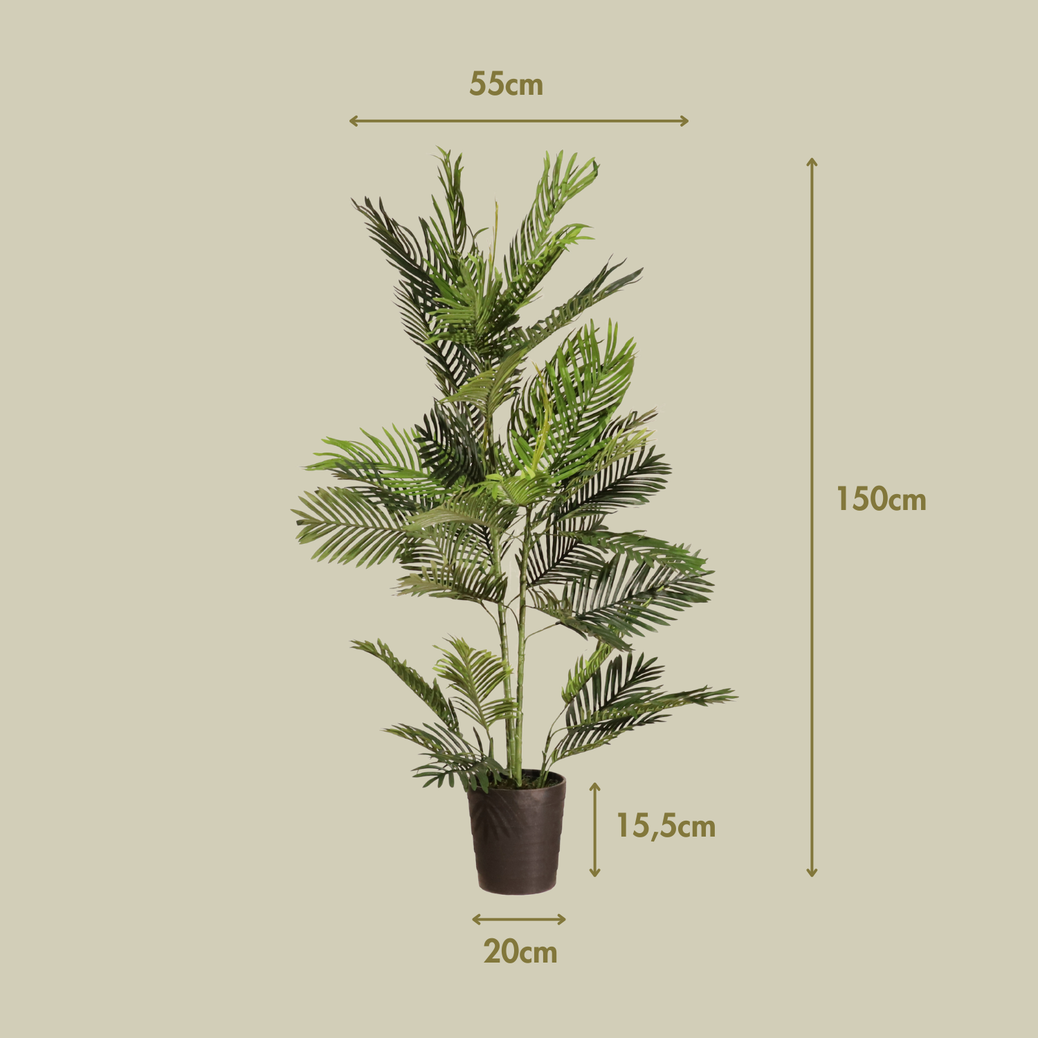 Palmera 150cm