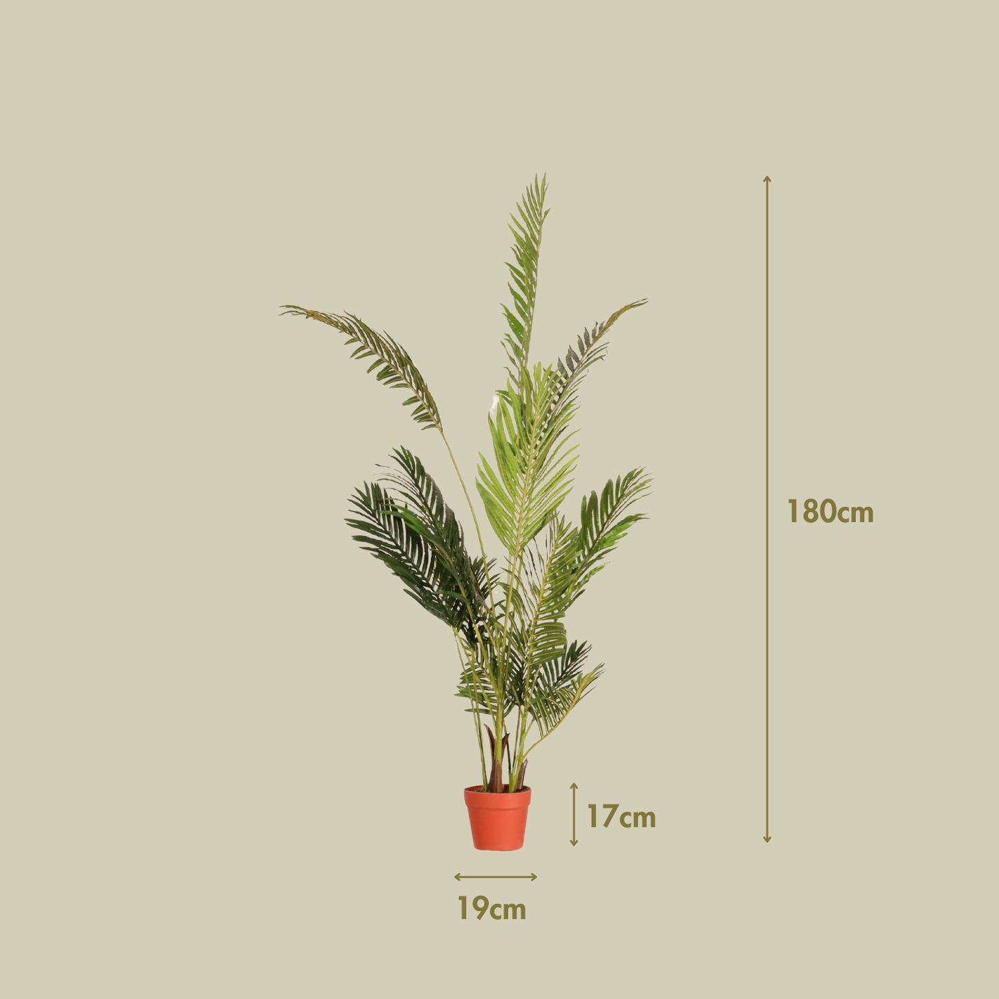 Palmera Areca 180cm