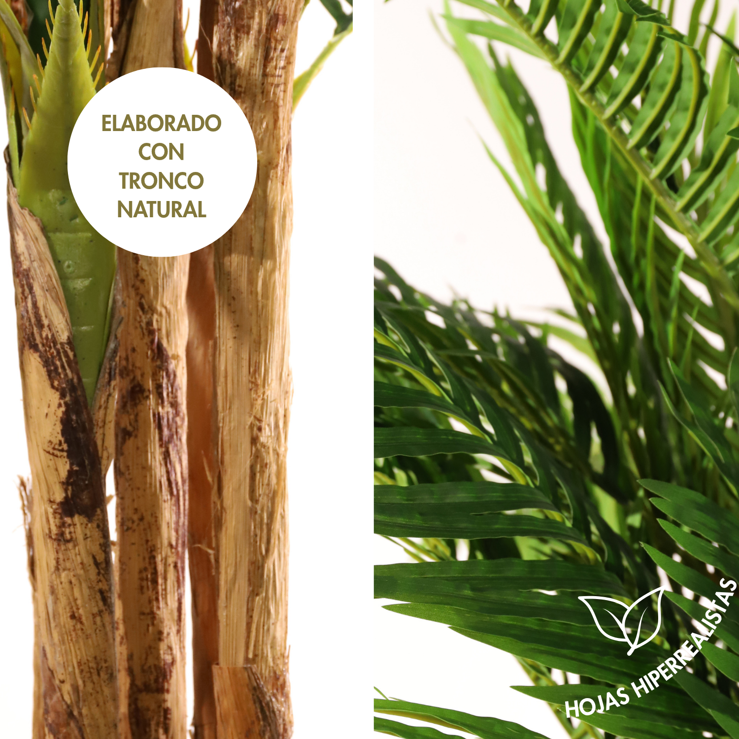 Palmera 189 cm
